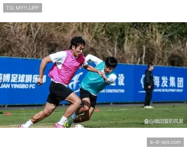 中超各队新赛季战术布局初现，备战策略成焦点