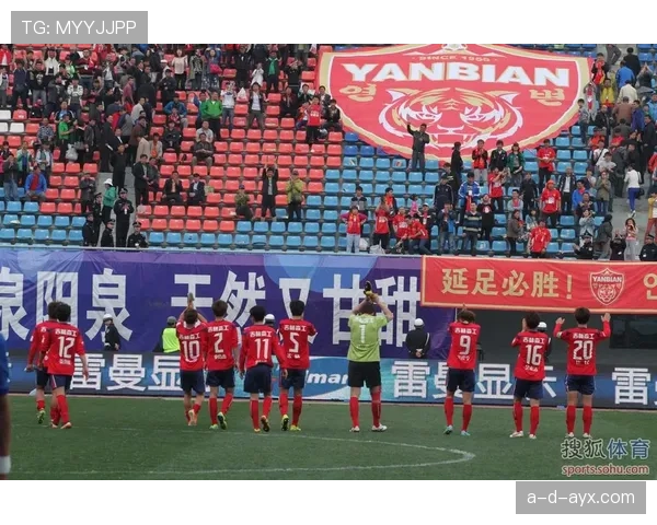 苏格兰球迷方阵震撼登场，彰显团结与激情的足球精神